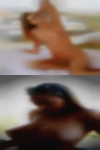 Dogging wives blog